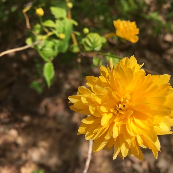 Meet your Posher, Taylor! - Picture 1 of 1